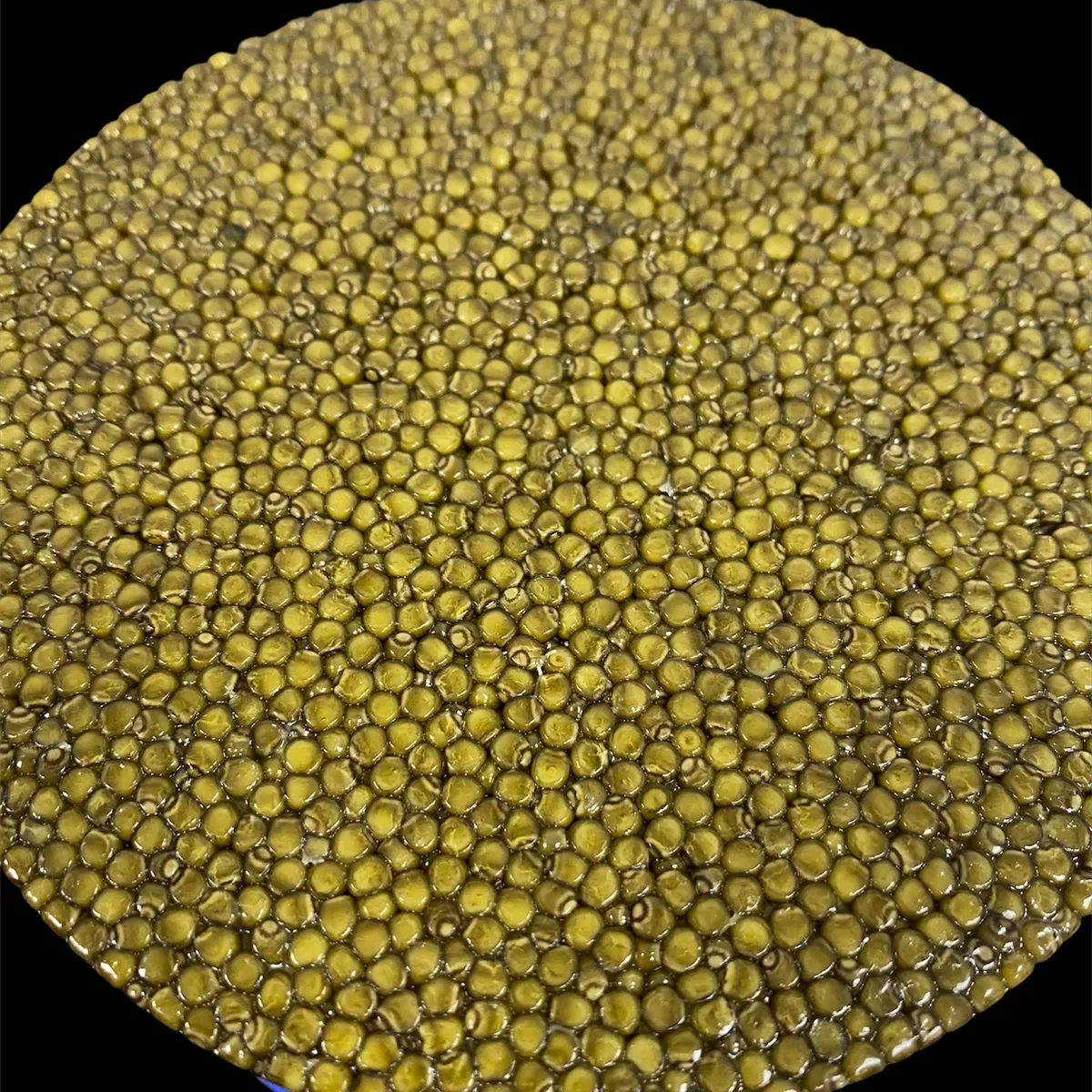Macro close-up of premium golden Oscietra caviar pearls