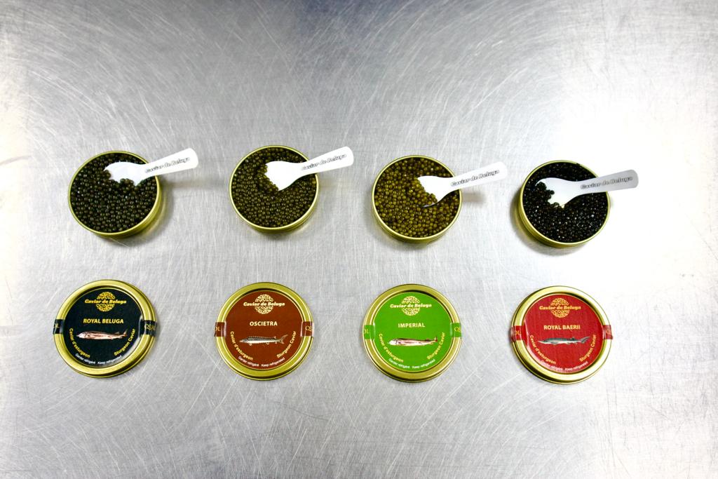 Complete Caviar de Beluga range — Royal Beluga, Oscietra, Imperial and Royal Baerii tins open with branded spoons