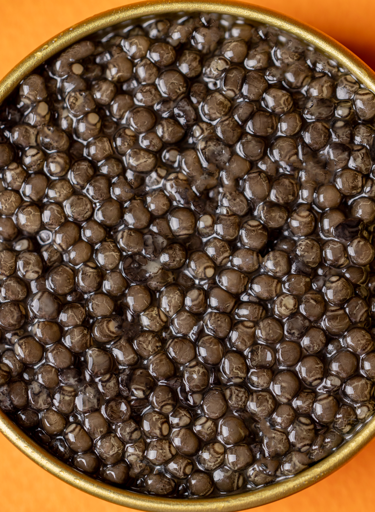 Royal Beluga caviar tin with pearl spoon on a deep blue studio surface